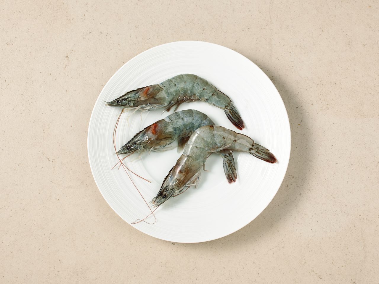 Regionale White Tiger Garnele »HanseGarnele« · Größe XXL