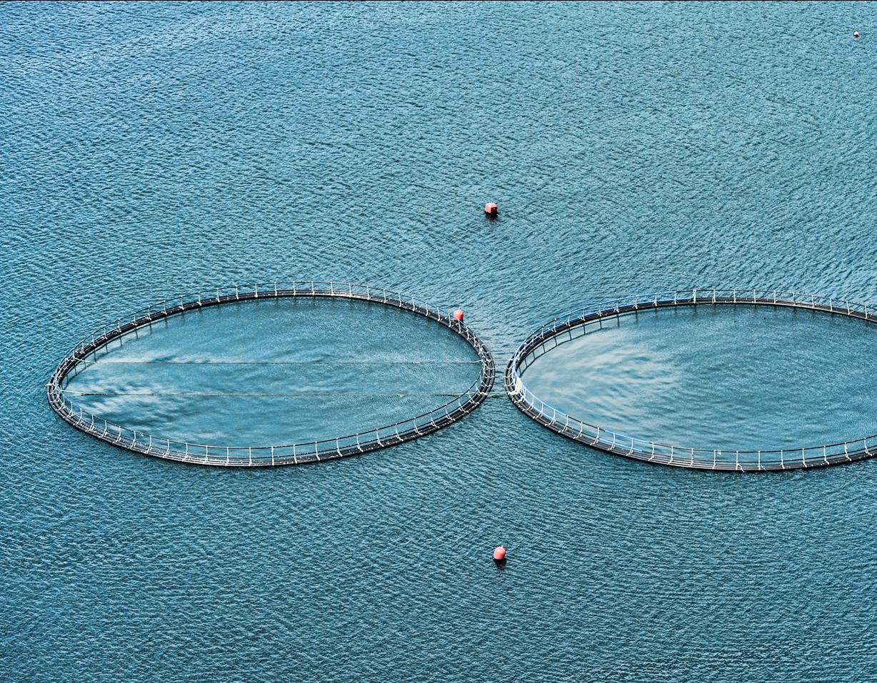 ASC-1280x960-Bildformat-32-2559f06e9457e13 Cropped Image 5243