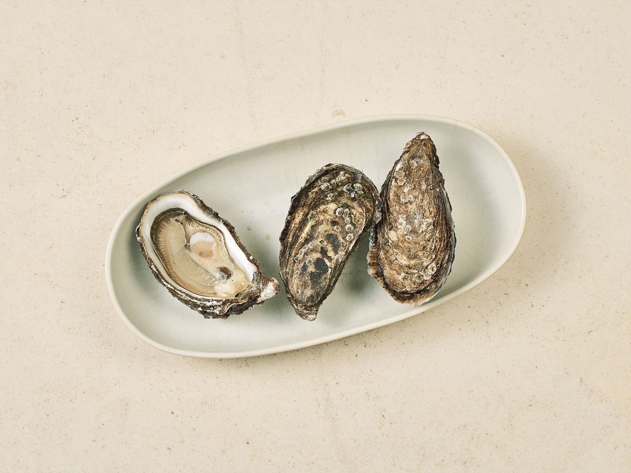 Sylter Royal Austern