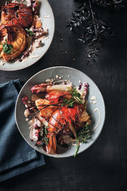 Languste auf Trevisano Languste auf Trevisano