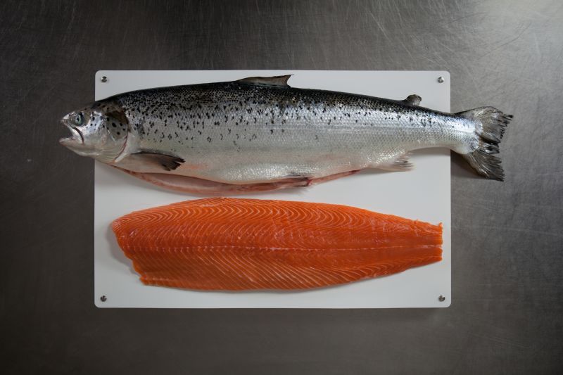 Filetieren Filetieren