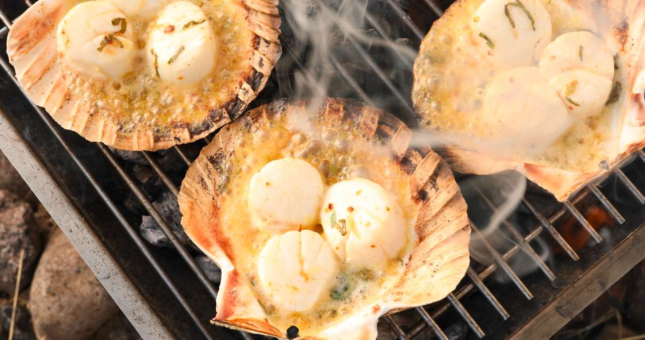 Pikante Jakobsmuscheln in Schale Pikante Jakobsmuscheln in Schale