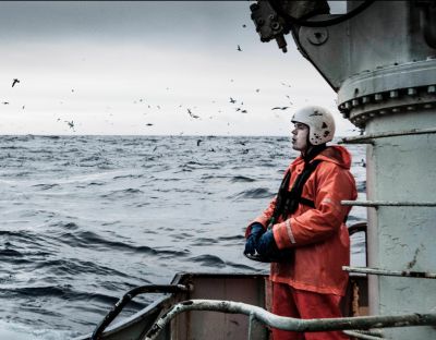 Weltweit eingekauft Weltweit eingekauft