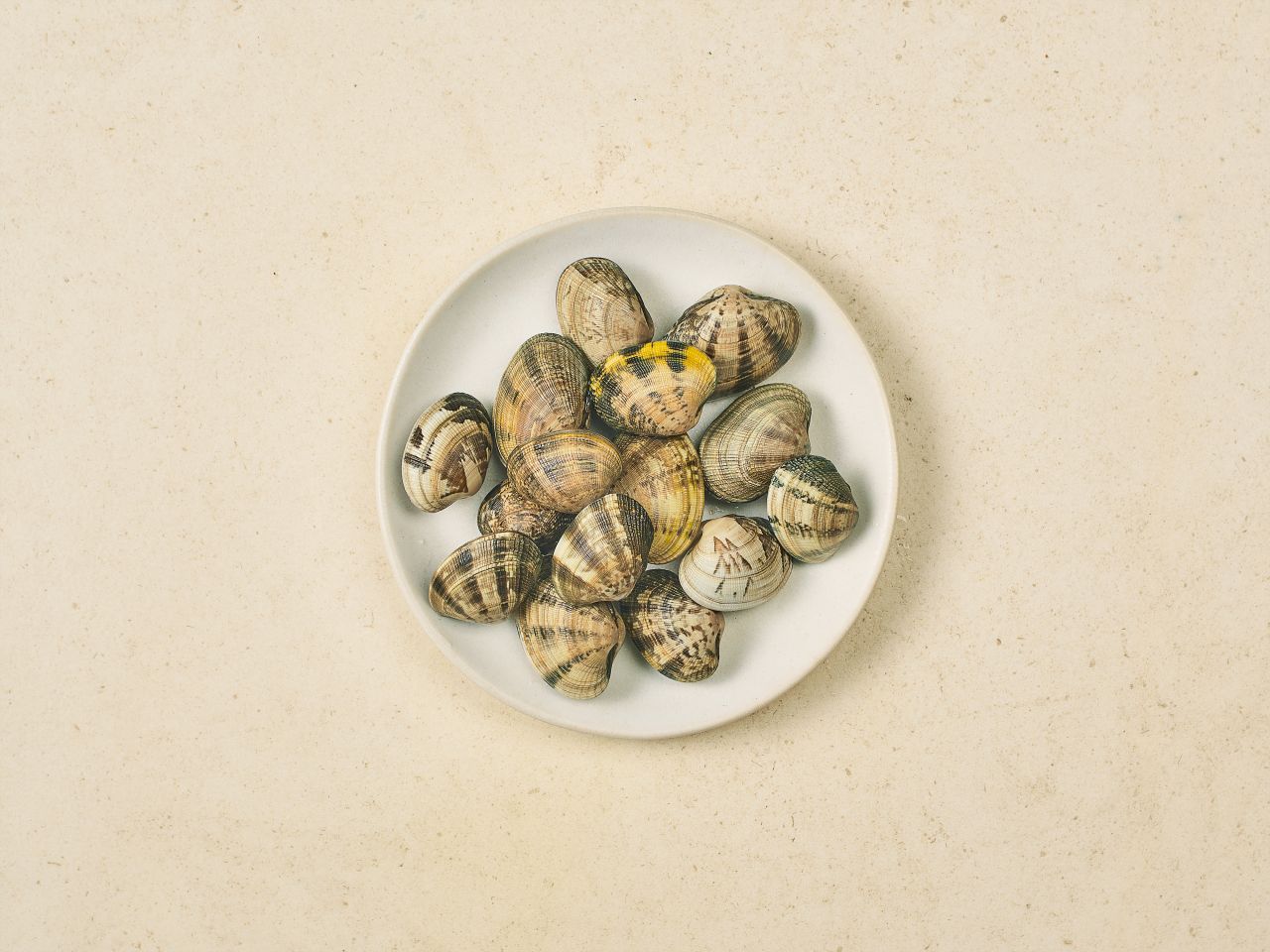 Vongola Verace · 500g