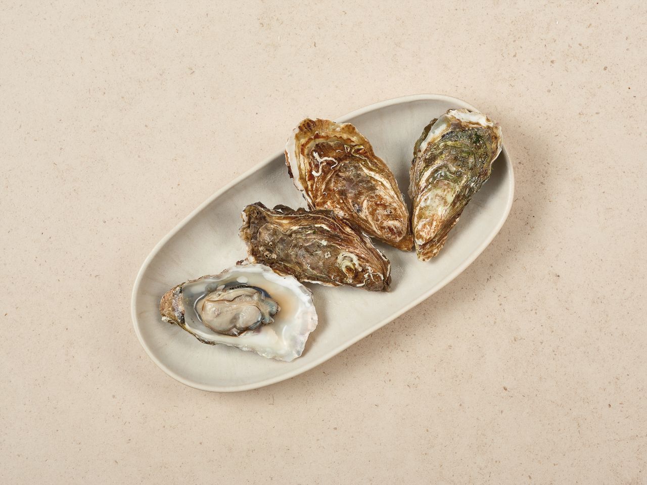 Fines de Claire Austern Fines de Claire Austern