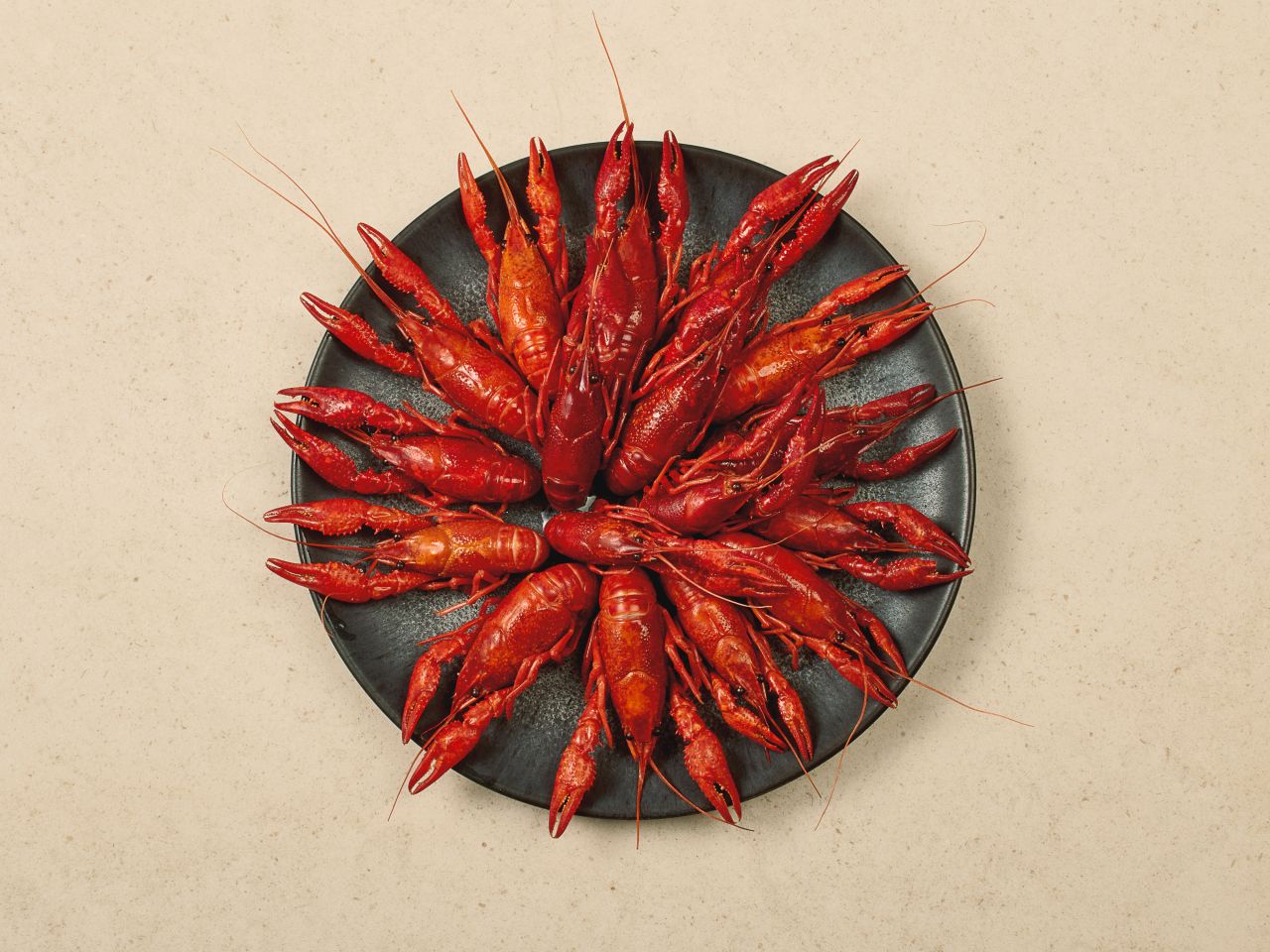 Louisiana-Flusskrebse · in Weißweinsud · TK Louisiana-Flusskrebse · in Weißweinsud · TK