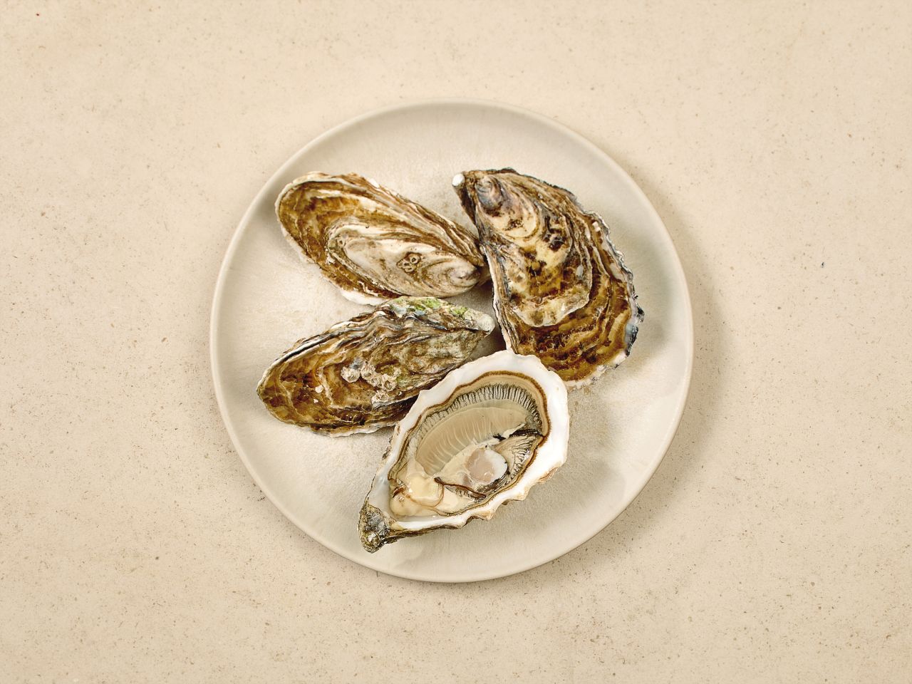 Gillardeau Austern · Speciales de Claire · ca. 155 g