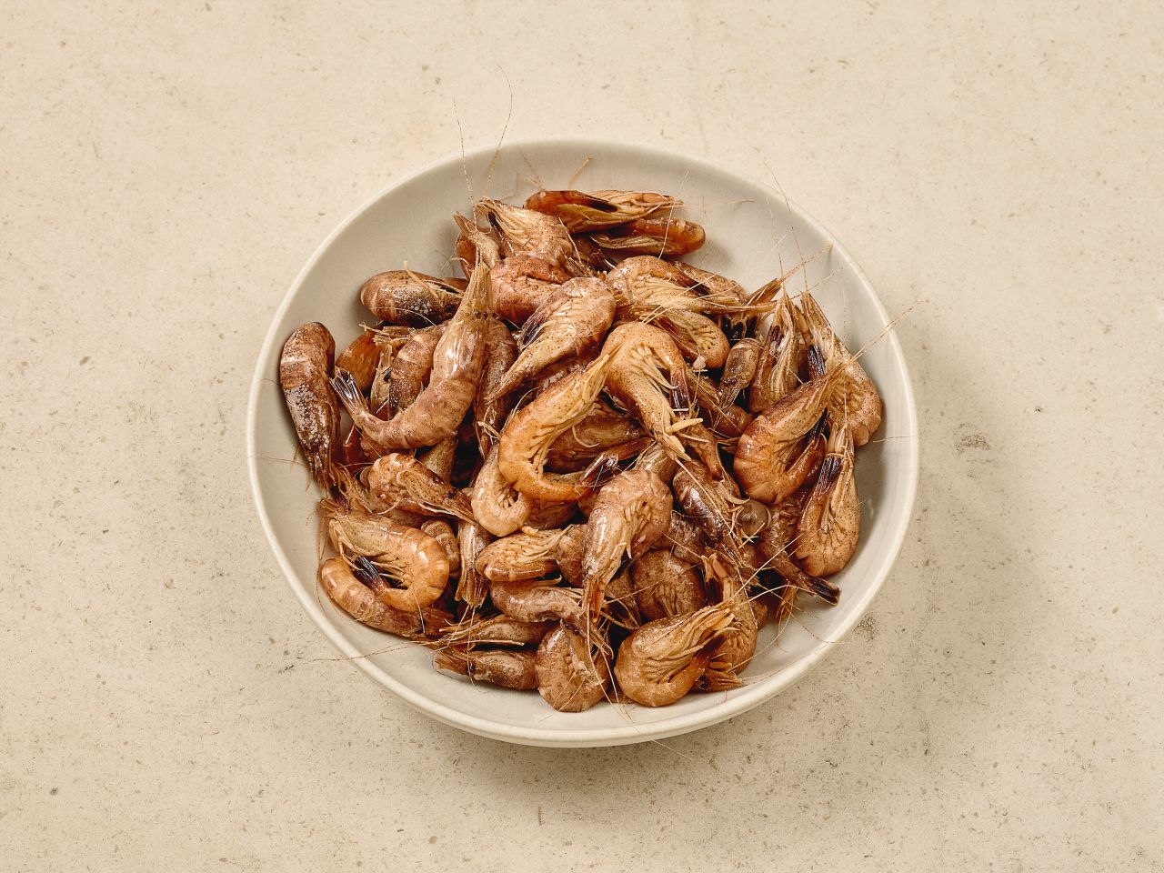 Nordseekrabben · ungepult mit Kopf und Schale