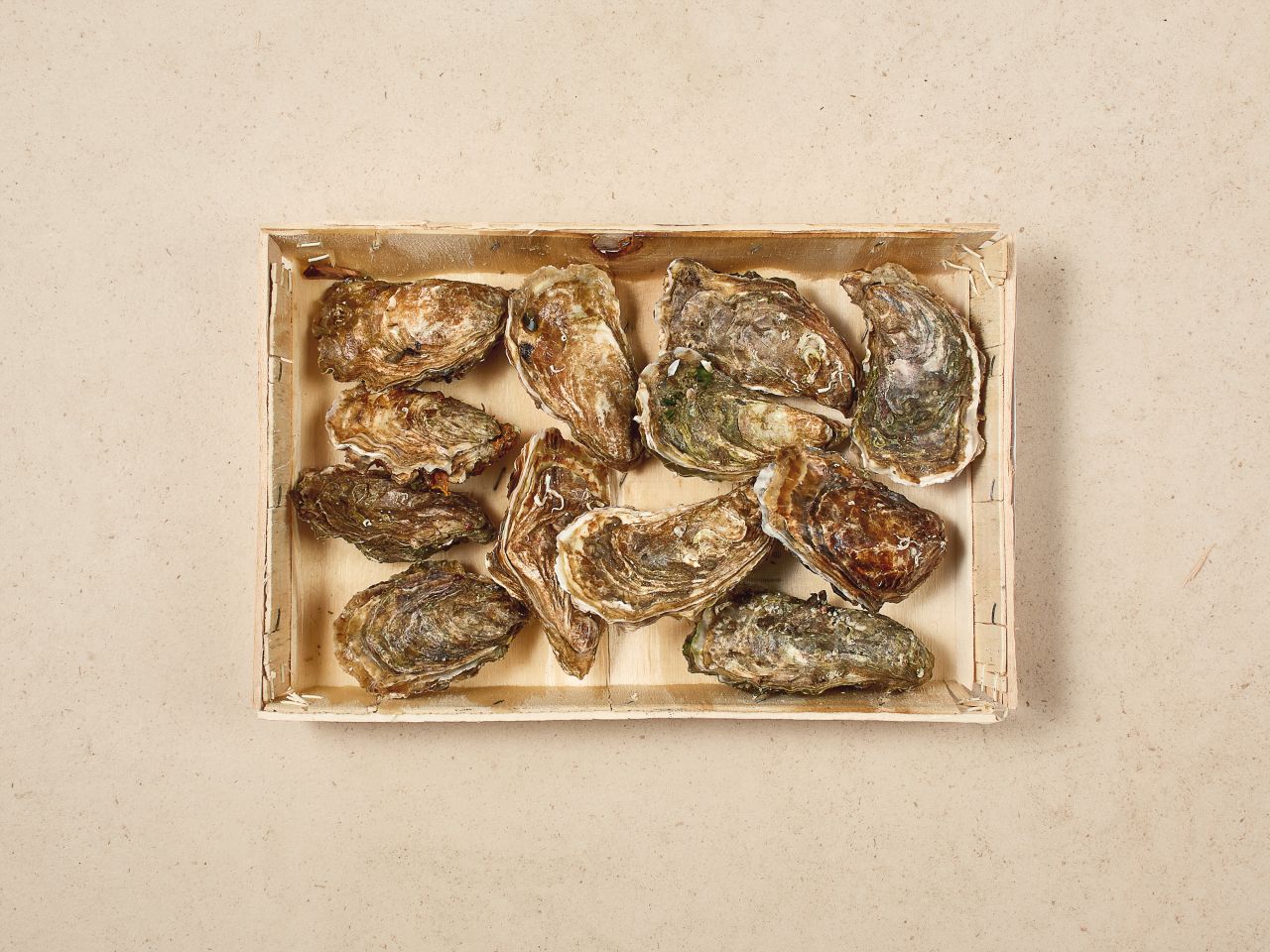 Fines de Claire Austern Fines de Claire Austern