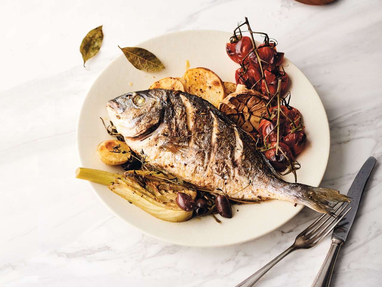 Dorade Royal Dorade Royal