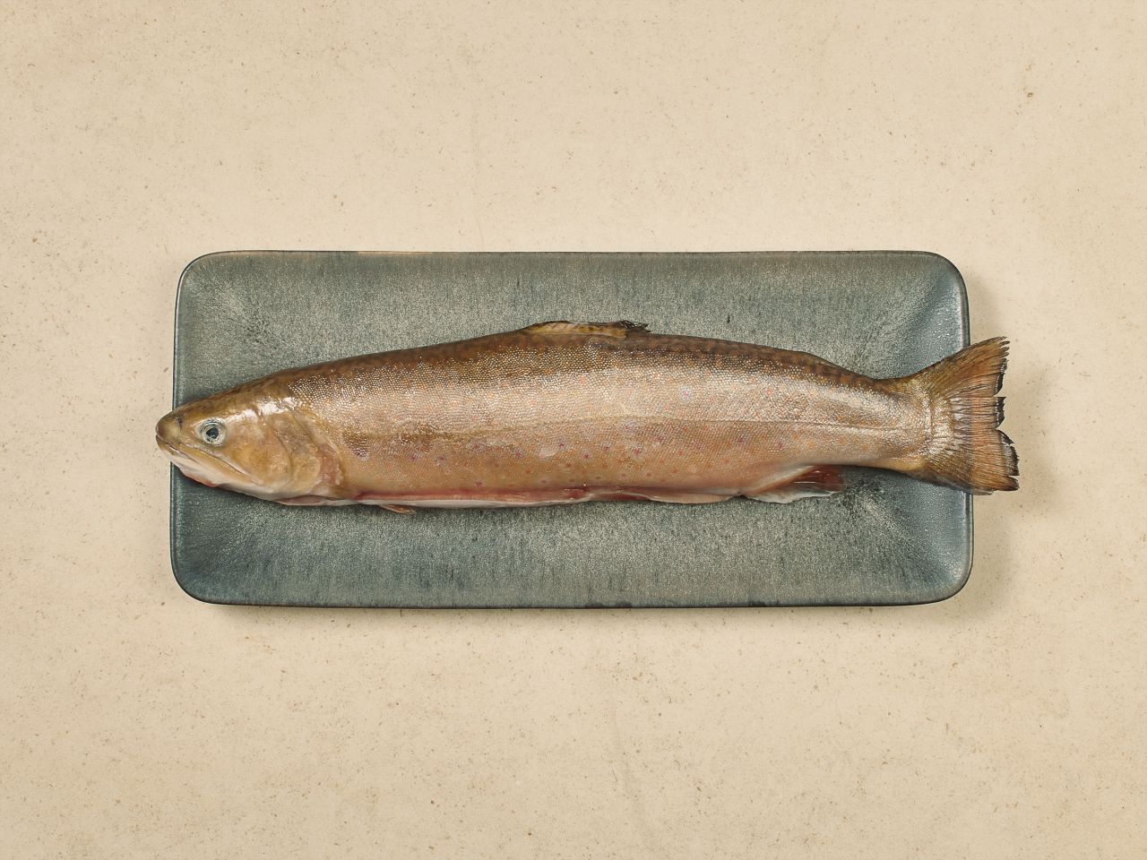 Naturland Saibling · TK Naturland Saibling · TK