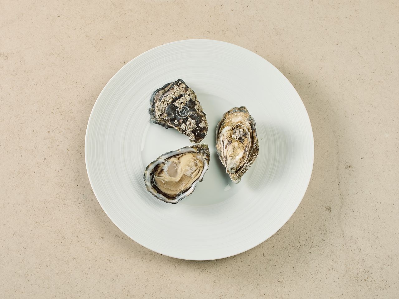 Gillardeau Austern · Spéciales de Claire · ca. 75g