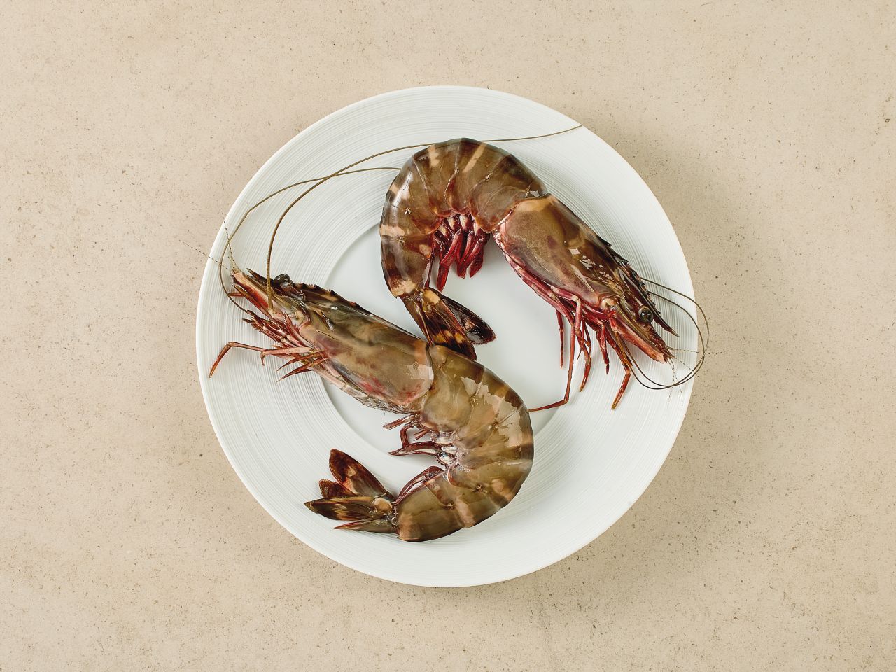 Sea Tiger Garnelen · 4-8 Stück · 2kg Sea Tiger Garnelen · 4-8 Stück · 2kg