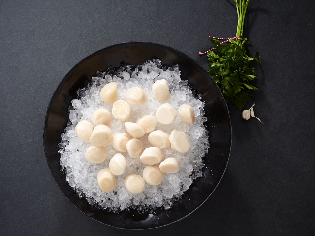 kammmuschel-scallops-kaufen-Deutsche-See-Onlineshop