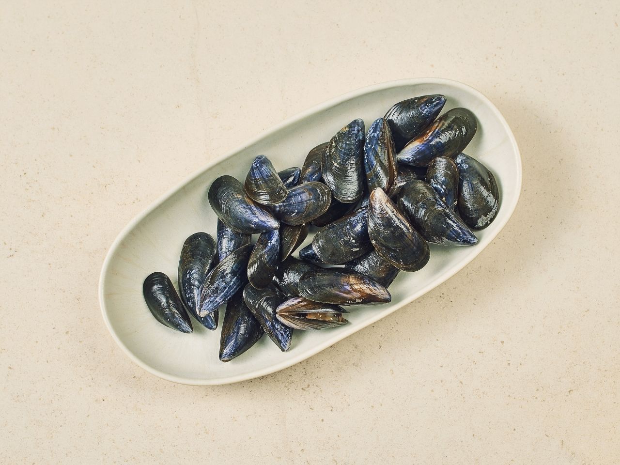 Bouchot-Muscheln Bouchot-Muscheln