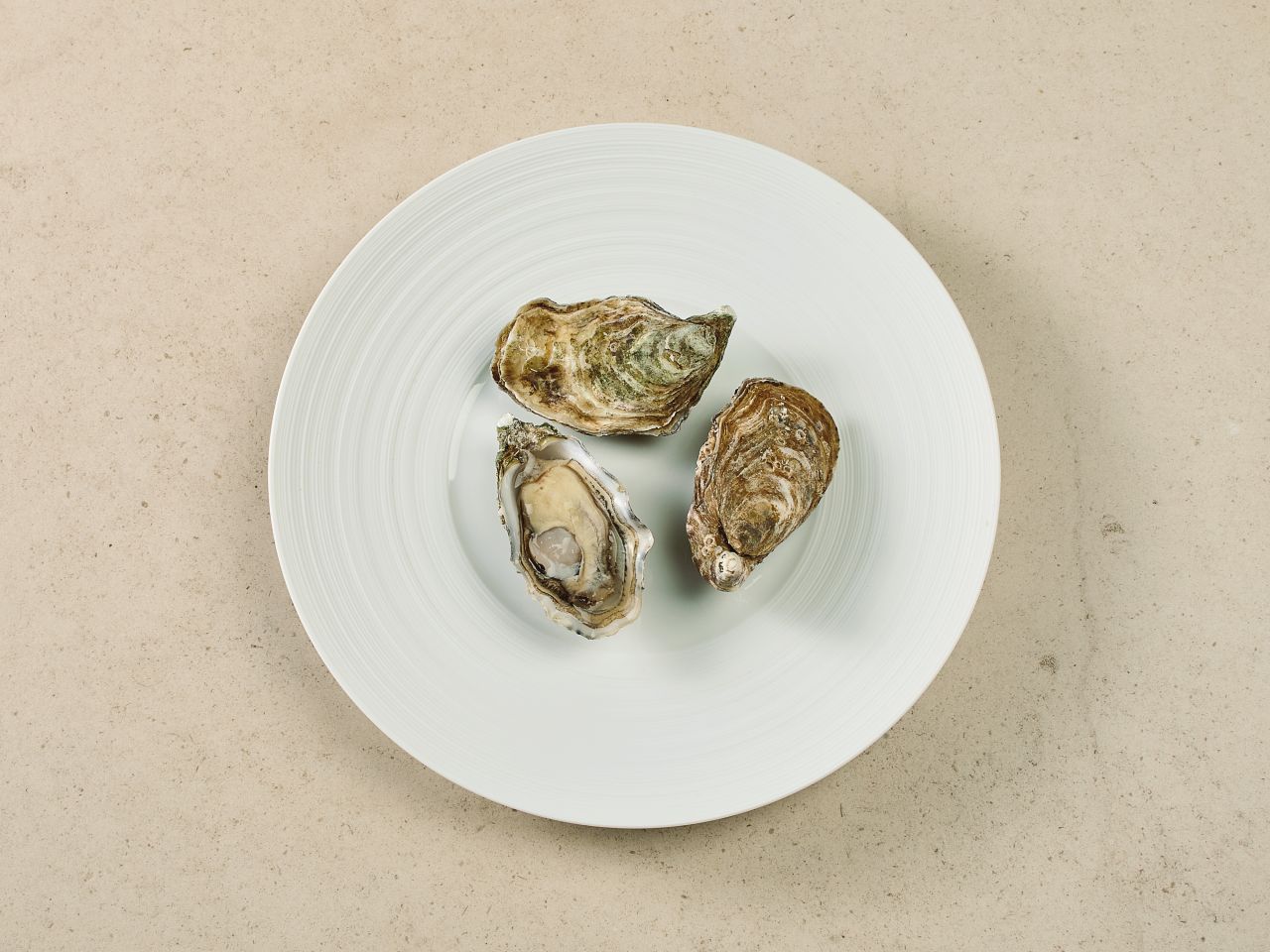 Tia Maraa Austern No. 3 · 75g Tia Maraa Austern No. 3 · 75g