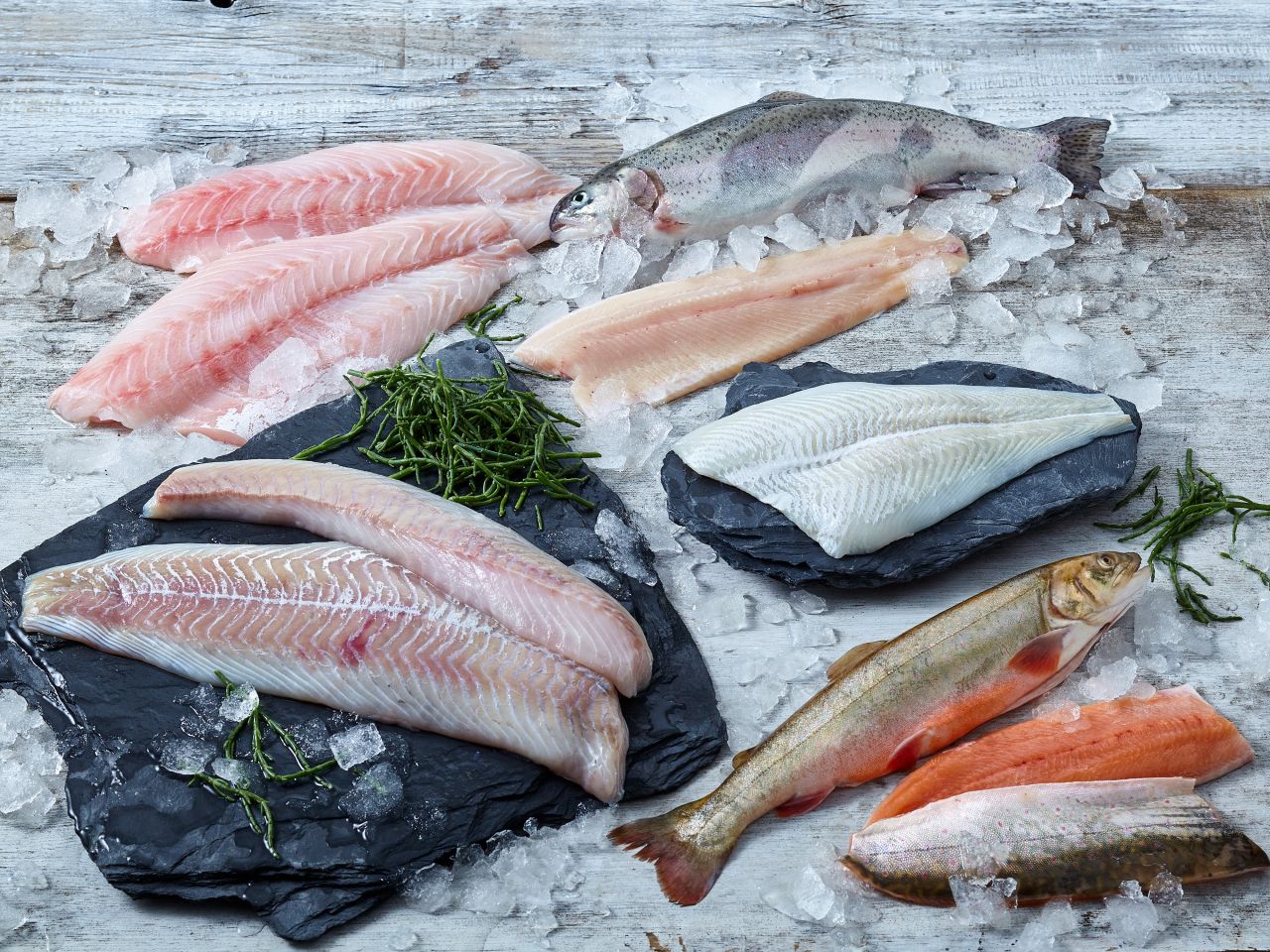 Frischfisch