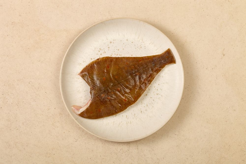 Scholle · TK · küchenfertig Scholle · TK · küchenfertig