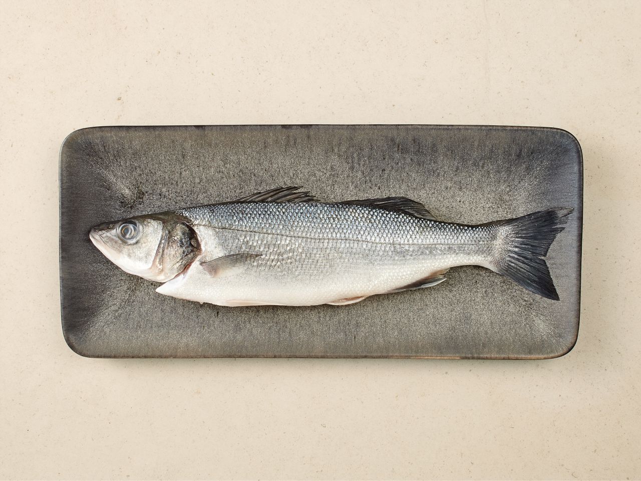 Wolfsbarsch Wolfsbarsch